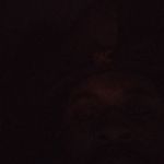 Nick Arnett - @arnett5553 - Instagram