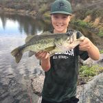 Nick arnett - @n_a_bass - Instagram
