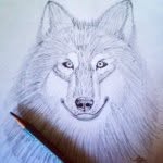Nick Babiak - @doodle_n_p_b - Instagram