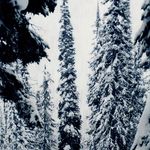 Nick Bachman - @bach_nickman - Instagram