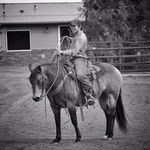 Nick Baer - @runningbar_nhorsemanship - Instagram