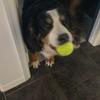 Nick - @nick.baer_ - TikTok