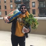 nick ballou - @nickballou1 - Instagram