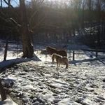 Nick Barbato - @barbatonick - Instagram