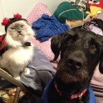 Lulu & Nick Bartley - @lulu_and_nick - Instagram