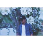 Nick Basilio - @nickbasilio03 - Instagram