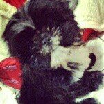 nick (basilio) - @nickthedogdrama - Instagram
