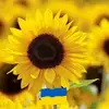 Nick Bastin785 - @nickbastin785 - TikTok