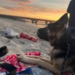 Nick Batchelder - @nbatch541 - Instagram