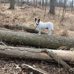 Nick Bauman - Facebook