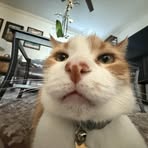 Nick Bauman - Facebook