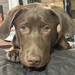 Nick Baurichter - @baurichternick - Instagram