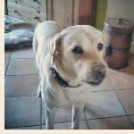 nick - @_nick_bausen - Instagram