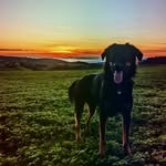 Nick baustian - @nickbaustian - Instagram