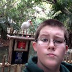 Nick Bausch - @nickdabeast_the_second - Instagram
