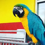 Nick Baxter - @nickbaxter - Instagram