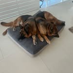 Nick Baxter - @nickbaxter01 - Instagram