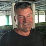 Nick Beale - @nick.beale.3954 - Instagram