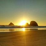 Nick Beam - @beam.nick - Instagram