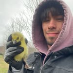 Nick Beaman - @nicks_naturepics - Instagram