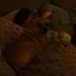 Nick Beatty - @nickelbear123 - Instagram