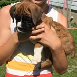 nick - @nickbeaudoin01 - Instagram