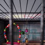 Nick Beavers - @nick.beavers.355 - Instagram