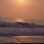 Nick Becerra - @nick.becerra.16 - Instagram