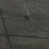 Nickbecerra003 - @nick.becerra3 - TikTok