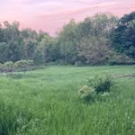 Nick Beckwith - @nickopolist - Instagram