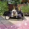 nickeybeckwith - @nickeybeckwith - TikTok