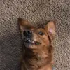 Nick B - @bedard.nick - TikTok