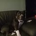 Nick Beebe - Facebook