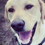 Nick - @nick_beese - Instagram