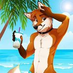 Nick Belcher - @nickbelcher770 - Instagram