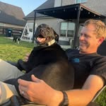 Nick Benedict - @nbenedict85 - Instagram