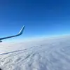 Nick Benn - @nick.benn0 - TikTok