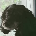 Nick - @nick_benninghoff - Instagram