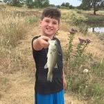 Nick Bennison - @bennisonnick - Instagram