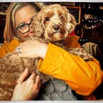 Nicky Bennison - @nickybe71 - Instagram