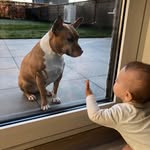 Nick Benoey - @nickbenoey - Instagram