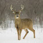 Nick Benoit - @ill_hack_ur_account_o____o__ - Instagram
