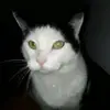 nick Berndt  - @nick3487 - TikTok