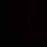 Nick Berube - @nick_445 - Instagram