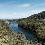 Nick Biondo - @nick.biondo - Instagram