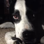 @nick_biondolillo - Instagram