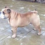 Nick Blackwell - @nick.blackwell.94 - Instagram