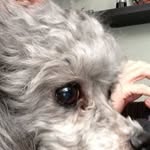 Nick Bleau - @nickbleau - Instagram
