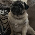 Nick Board - @n_board333 - Instagram