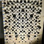 Nick Pellegrino - @nick_is_board - Instagram
